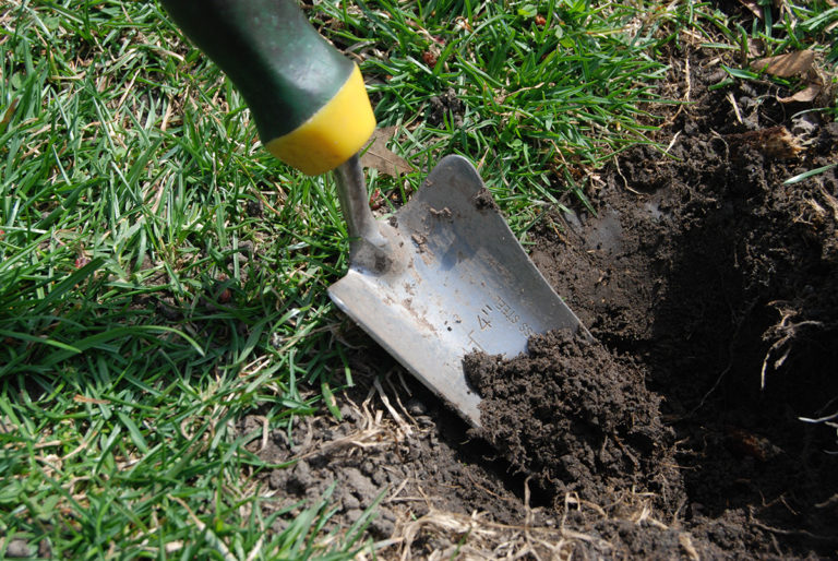 Get Your Soil Tested - Lawn to Lake