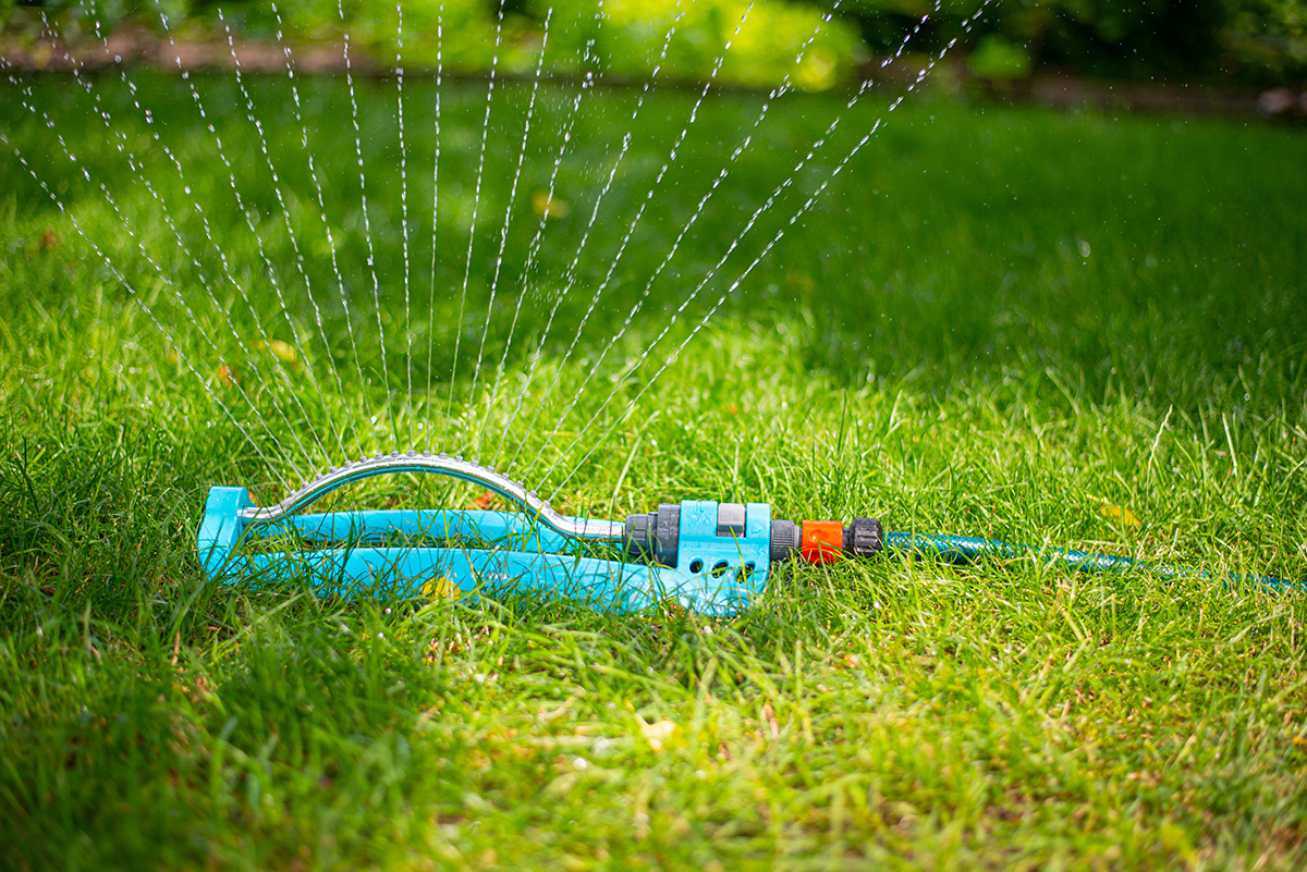 sprinkler watering lawn