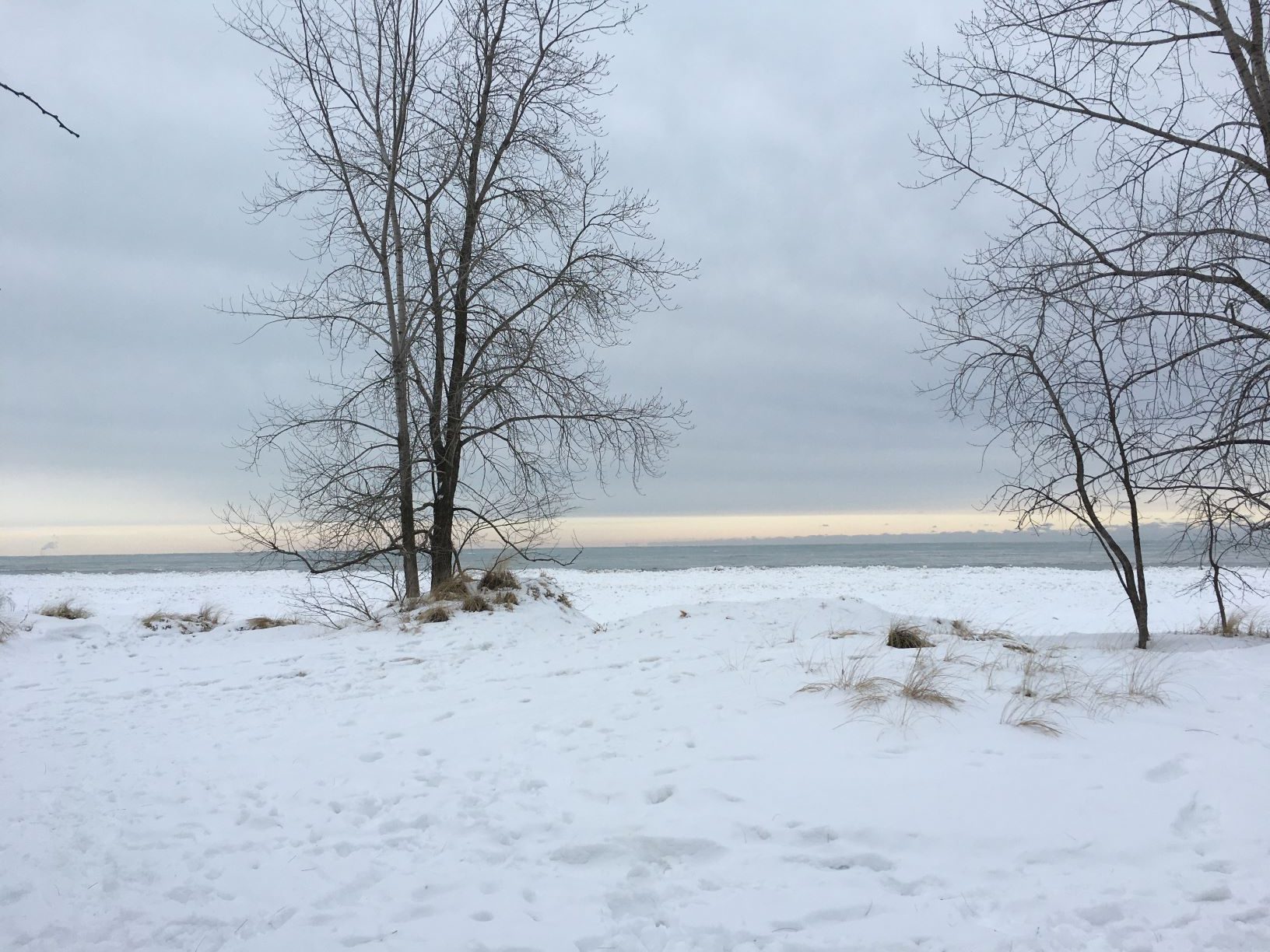snow and trees along lake Michigan
